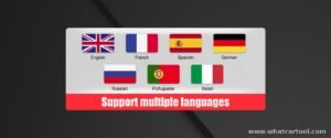 Autophix OM121P obd2 code reader supported languages