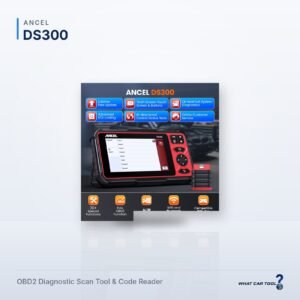 Ancel DS300