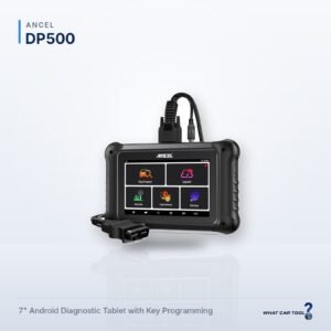 Ancel DP500