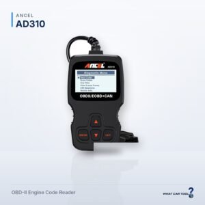 Ancel AD310
