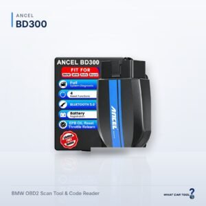 Ancel BD300